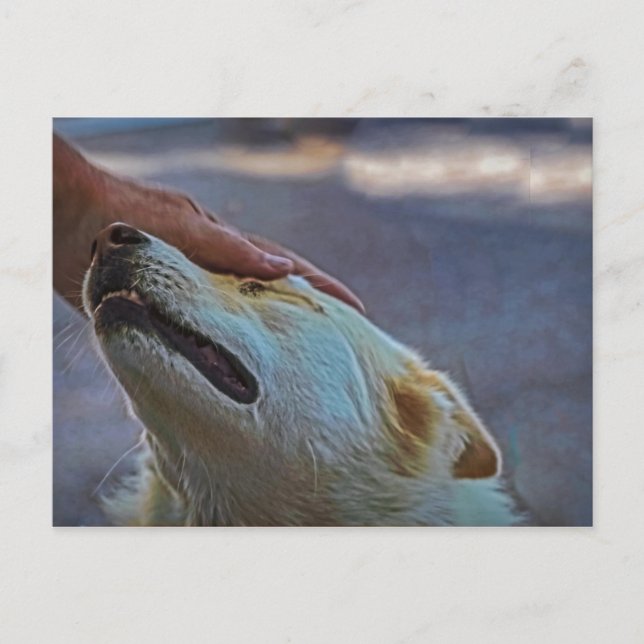 Un homme et son chien, carte postale (Devant)