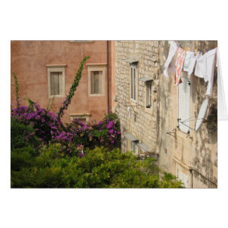 Un jardin dans Dubrovnik