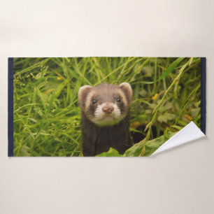 Un joli furet Brown dans l'herbe