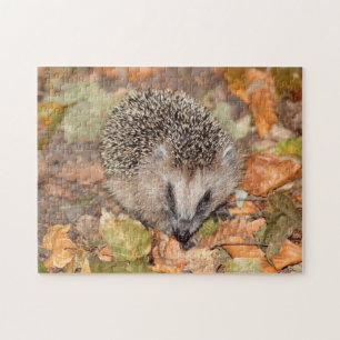 Un joli hérisson Brown sur le puzzle Feuille