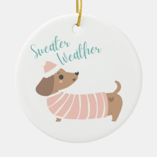 Un joli ornement avec Wiener Dog dans un Sweater