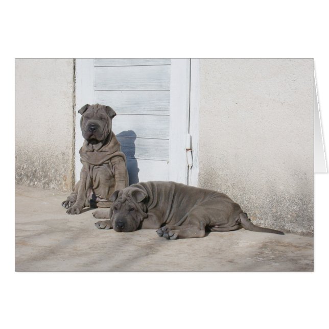 Un jour à la fois... (Devant horizontal)