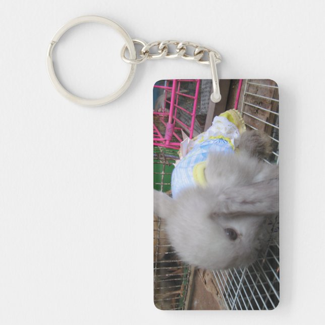 Un lapin en robe (Devant)