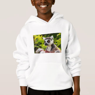 un lémur sur le sweat - shirt à capuche de pull de
