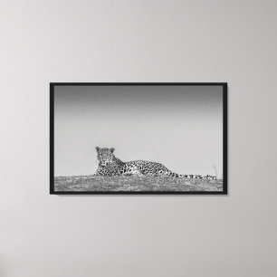 Un léopard illusionniste en toile noire et blanche