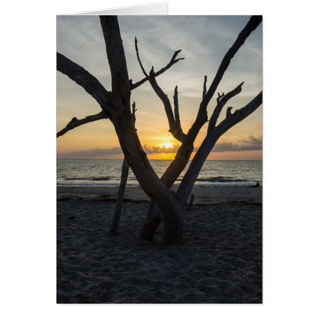 Un lever de soleil fou (Devant)