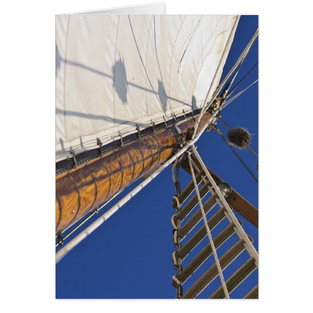 Un Maste Point De Vue (Devant)