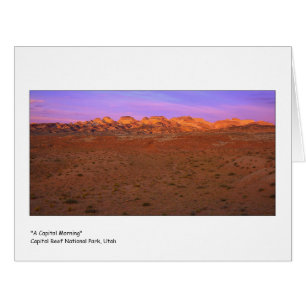 "Un matin de capitol "