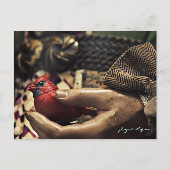 Un oiseau à la main, carte postale (photo couleur  (Devant)