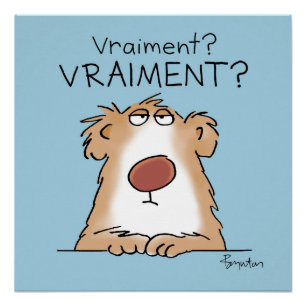 Un ours vraiment incrédule poster