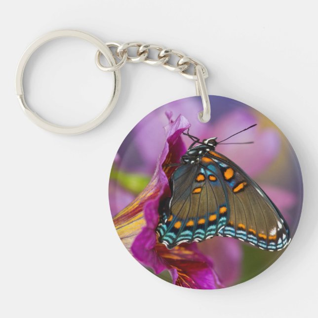 Un papillon swallowtail (Devant)