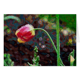 Un perroquet rouge
