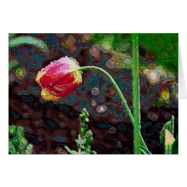 Un perroquet rouge (Devant horizontal)