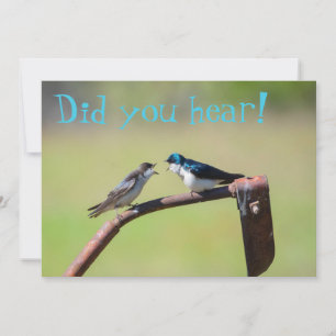 Un petit oiseau m'a dit - invitation personnalisa