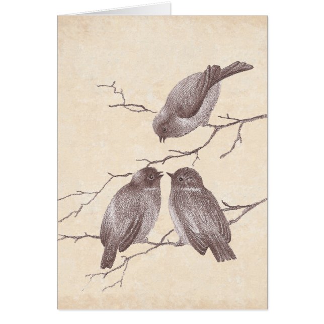 Un petit oiseau m'a indiqué : Croquis antique (Devant)