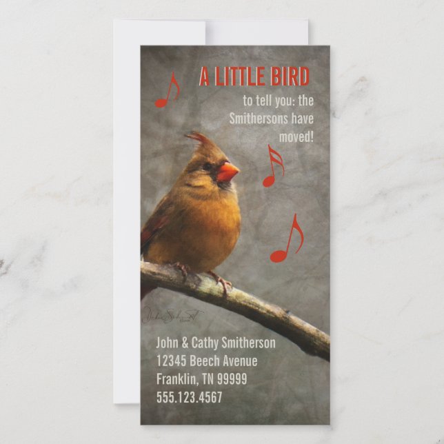 Un petit oiseau Nouvelle adresse Cartes photos per (Devant)