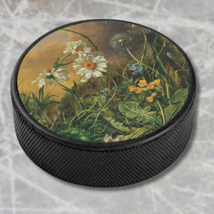 Un plancher forestier avec marguerites, primeurs,