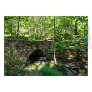 Un pont de sentier forestier