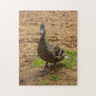 Un puzzle de canard à collier