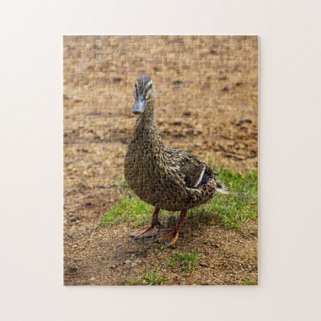 Un puzzle de canard à collier (Vertical)