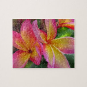 Un puzzle de Plumeria