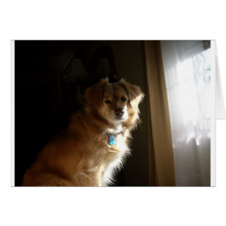 Un réducteur de confort