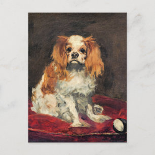 Un roi Charles Spaniel, belle carte postale