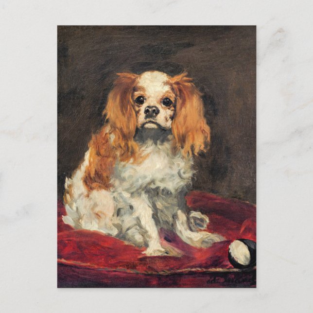 Un roi Charles Spaniel, belle carte postale (Devant)