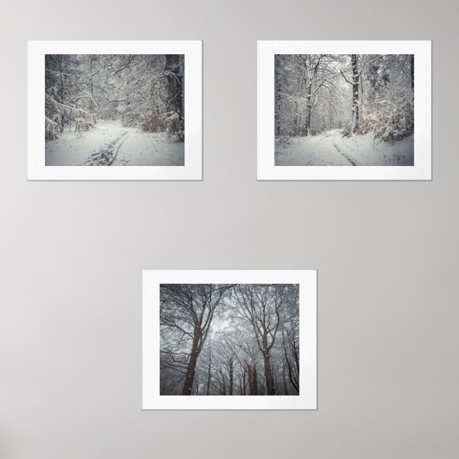 Un sentier enneigé à travers une forêt d'hiver (Recto)