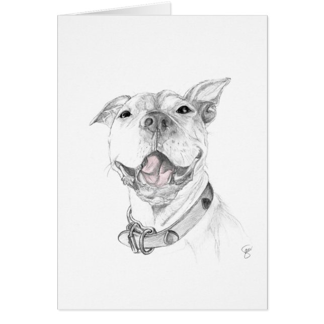 Un sourire de pitbull (Devant)