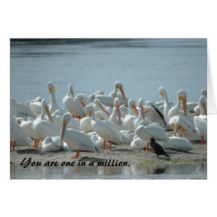 UN SUR UN MILLION : CARTE