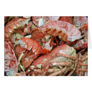 Un tas des coquilles cuites de homard et de crabe