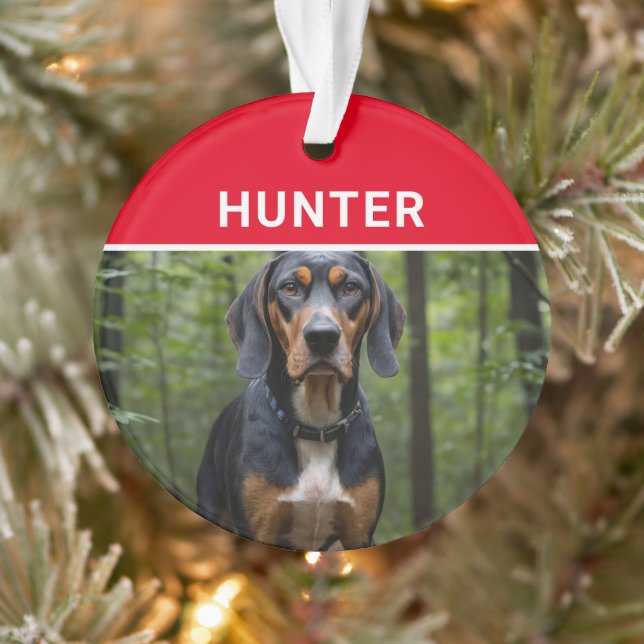 Un terroir avec le nom du chien et la photo Noël (Arbre)