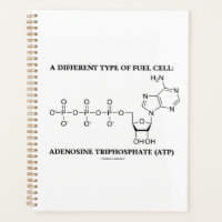 Un Type Différent De Biochimie De L'ATP Des Piles 