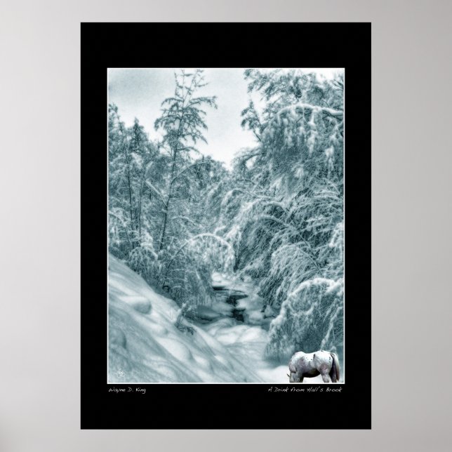 Un verre de Halls Brook Poster (Devant)