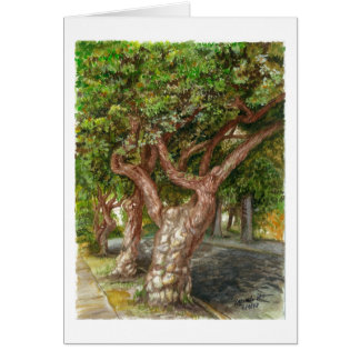 Un vieil arbre à L.A