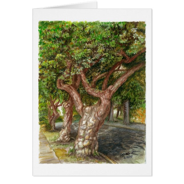 Un vieil arbre à L.A (Devant)