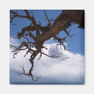 Un vrai aimant de cintre