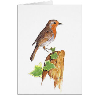 Un watchfull Robin, beaux-arts, couleur pour