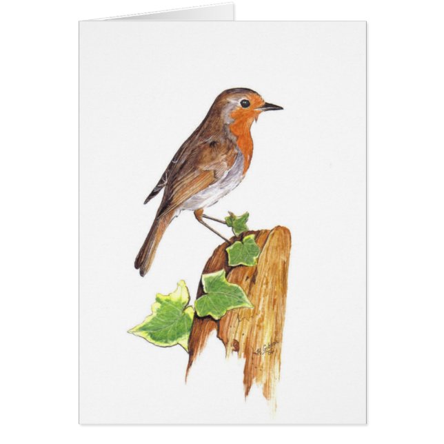 Un watchfull Robin, beaux-arts, couleur pour (Devant)