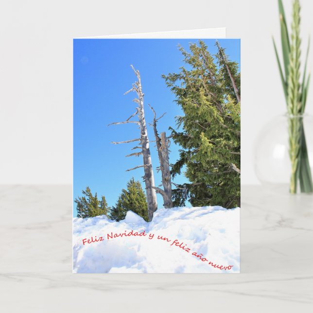 Una escena de invierno para la Navidad. Español. 2 Holiday Card (Front)