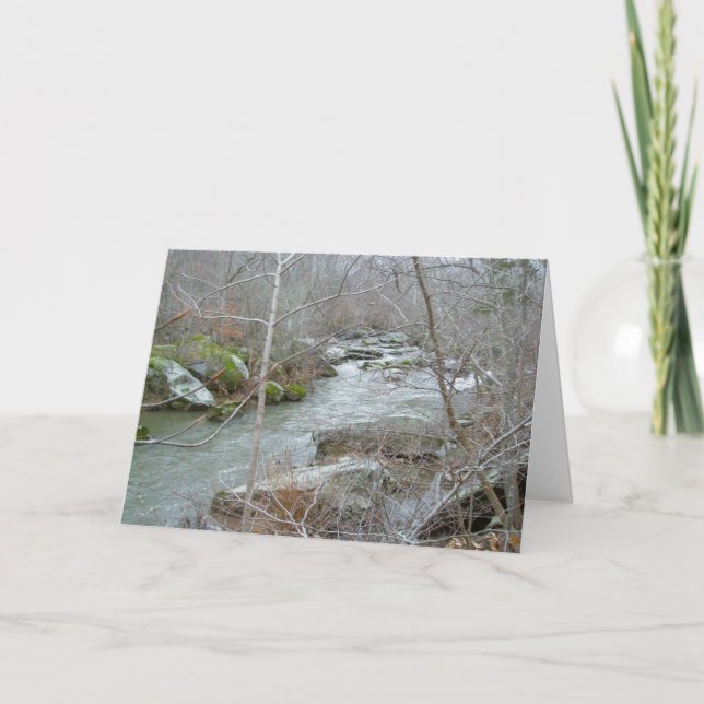 Unami Creek Feeder Stream Note Card (Front)