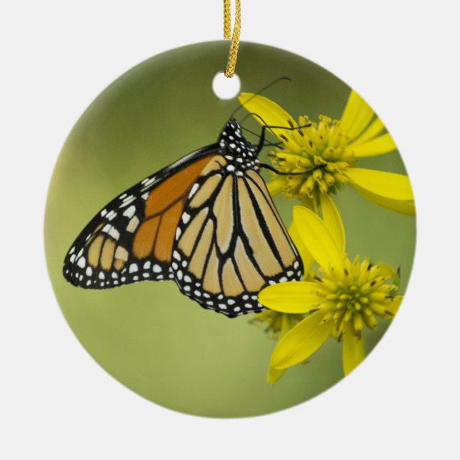 Unattached Purity Ceramic Ornament (Front)