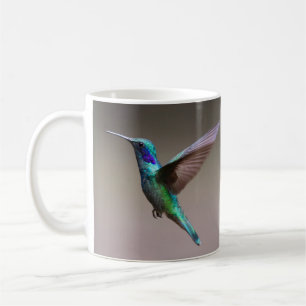 Unbelievably Beautiful and Colourful Hummingbird Coffee Mug