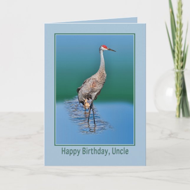 Uncle's Birthday Card with Baby Sandhill Crane (Front)