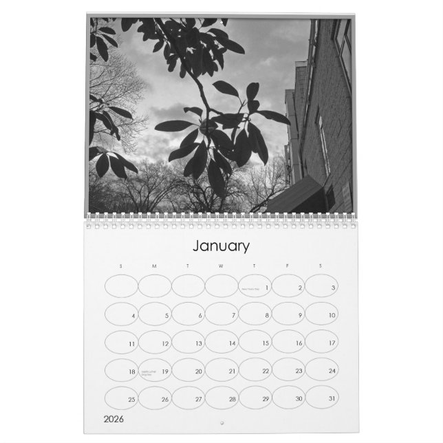 uncluttered (black and white alanart photography) calendar (Jan 2026)