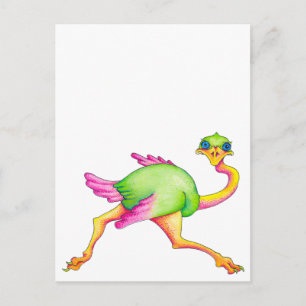 Uncommon Ostrich Postcard