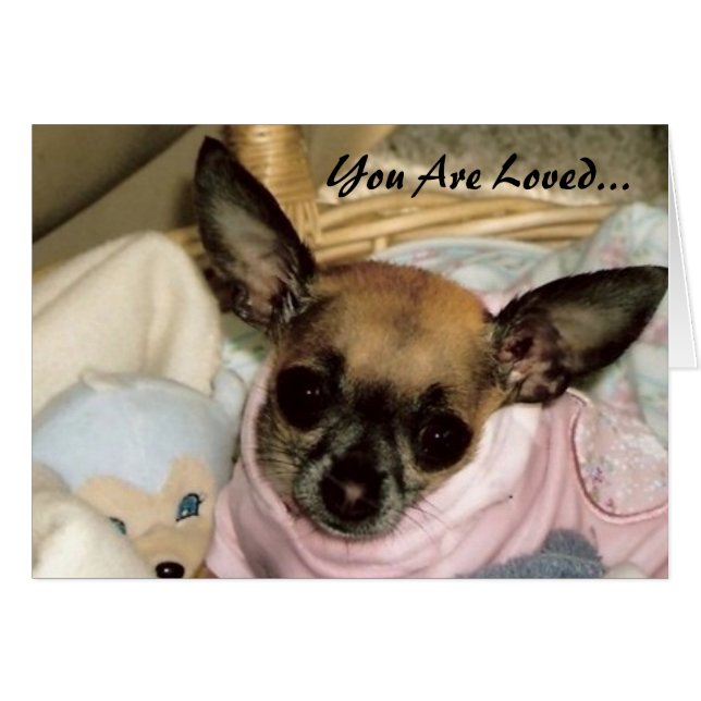 Unconditional Love (Front Horizontal)