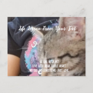 Unconditional Love Life Lesson from the Pet  Holiday Postcard