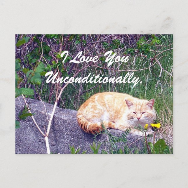 Unconditional Postcard (Front)